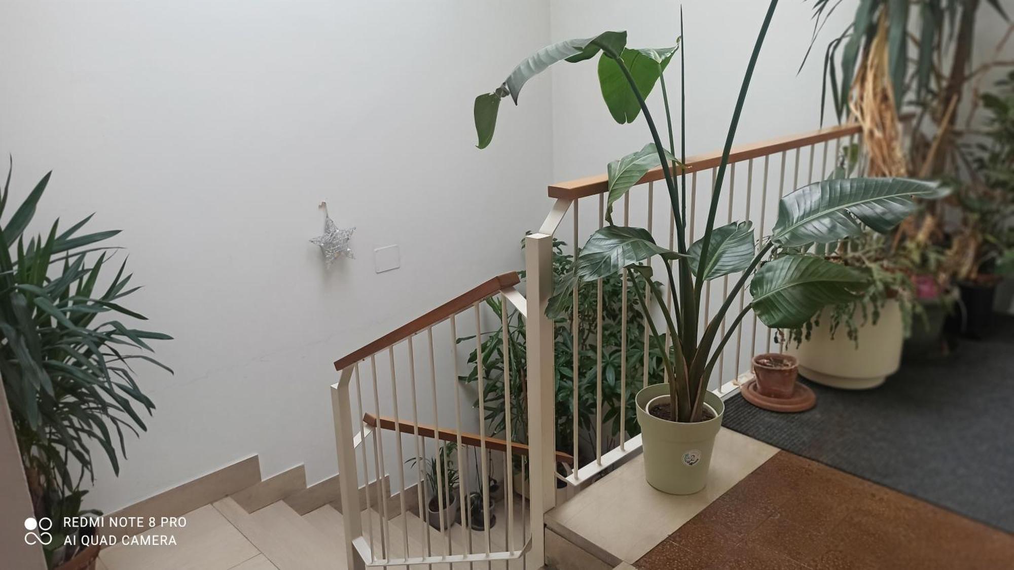 Bed & Breakfast Beb Casa Mario, Via Moggioli 9,trento *